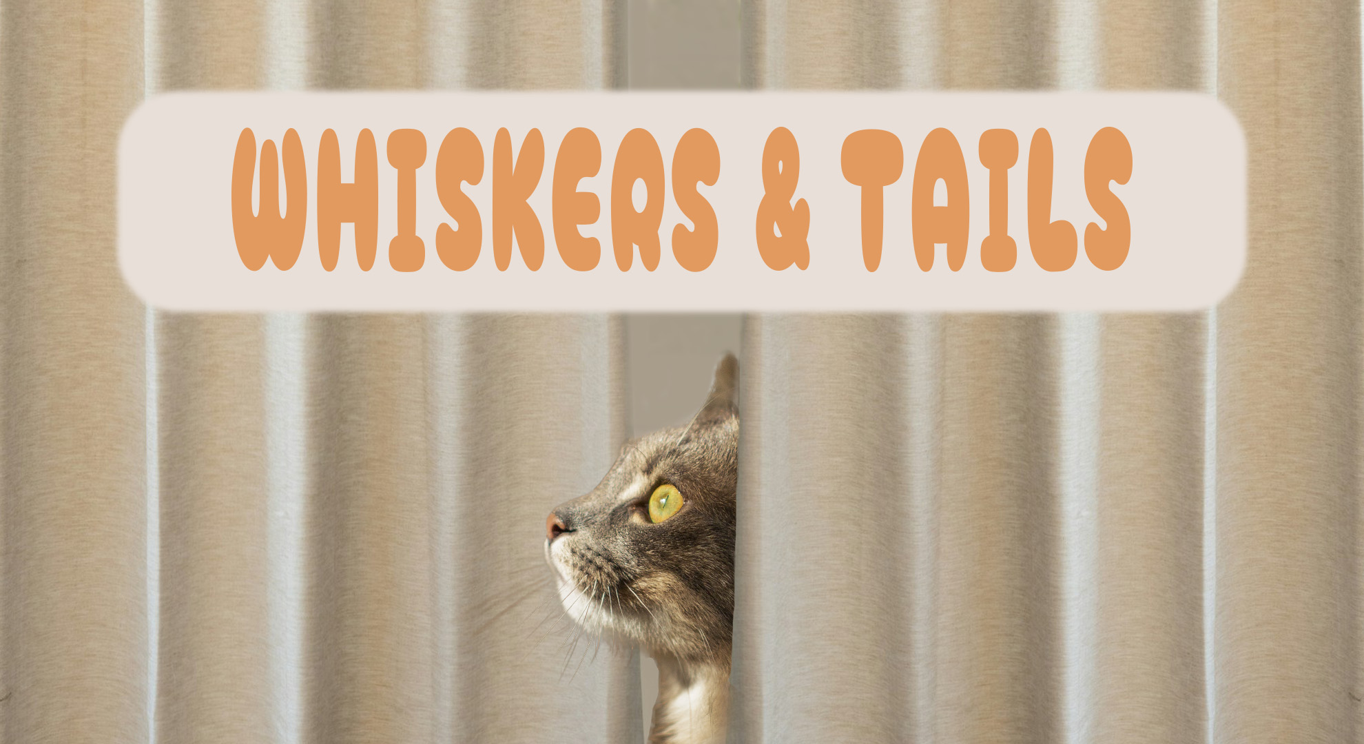 Whiskers & Tails — Обложка проекта